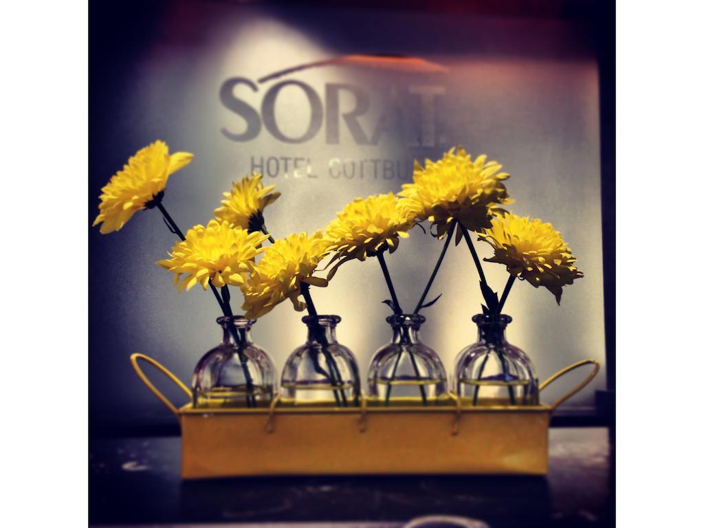 Sorat Hotel Cottbus Bagian luar foto